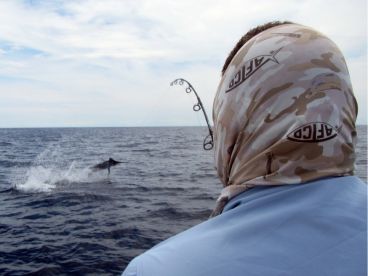 Boca Chica Report Photo 1
