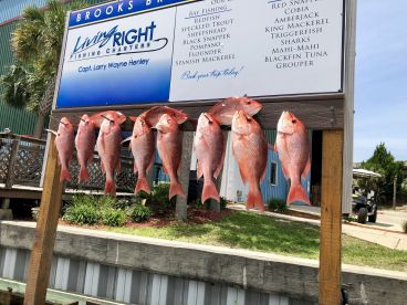 Destin Report Photo 2