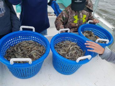 Wanchese Report Photo 1