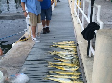 Miami Report Photo 2