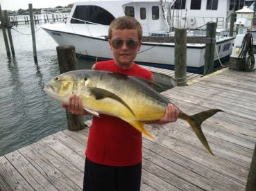Jack Crevalle !!!!!