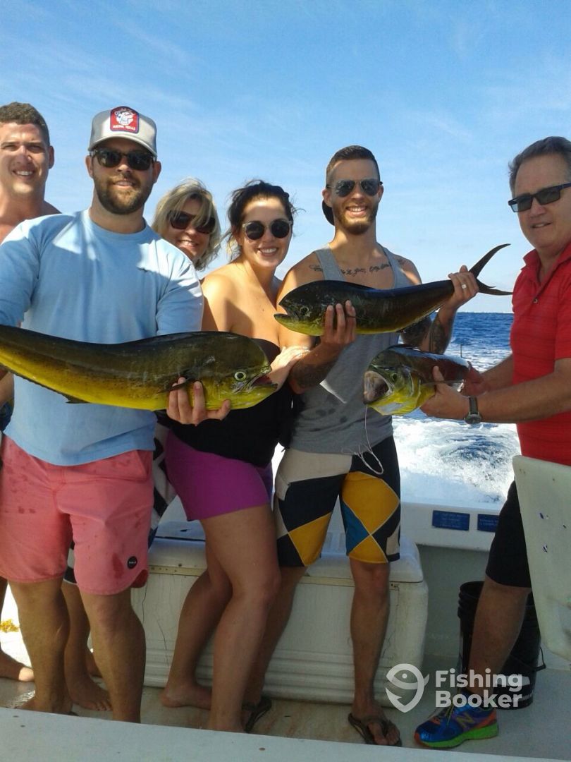 Cozumel Report Photo 0