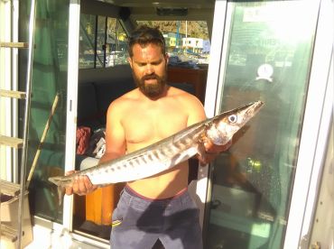 Barracuda