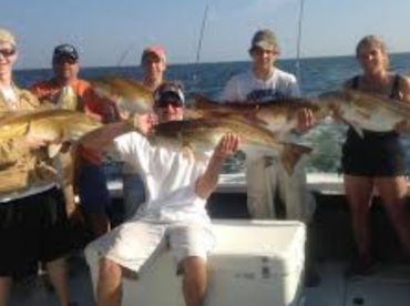 Biloxi Report Photo 1