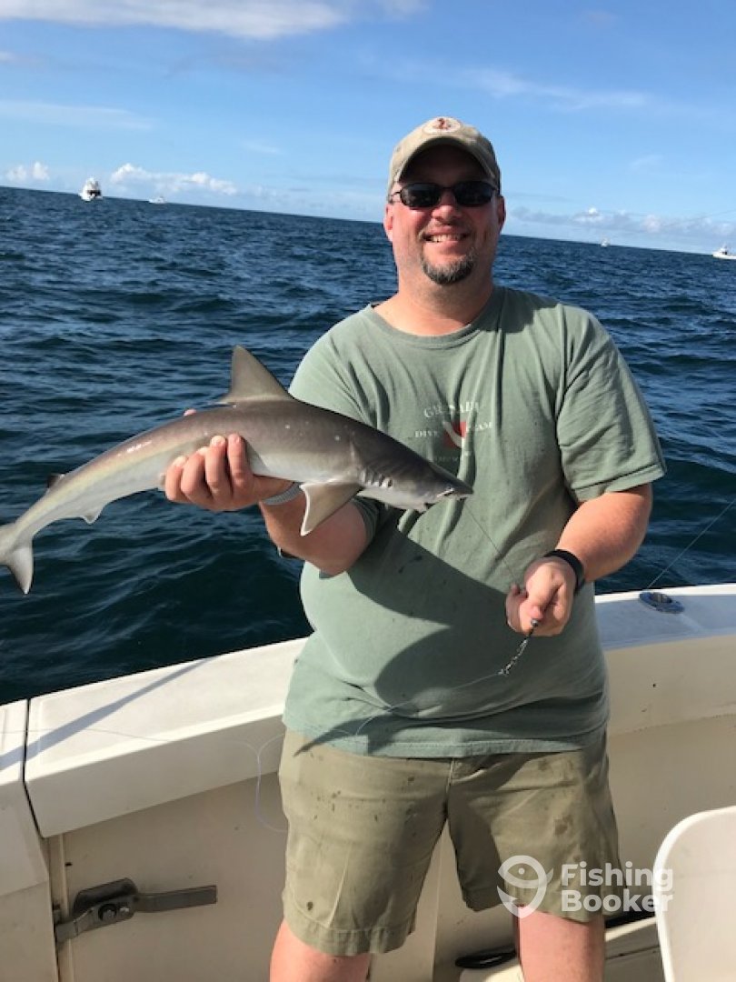 Michael and his shark