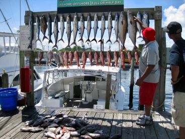 Carolina Beach Report Photo 1