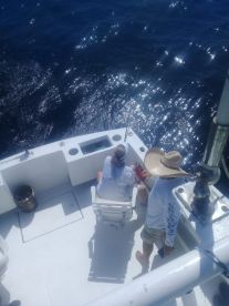 Cabo San Lucas Report Photo 2