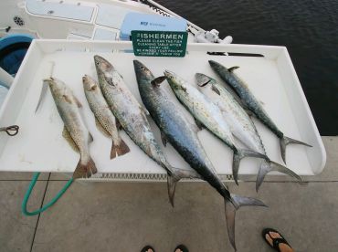 Naples Report Photo 1