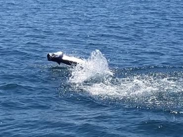 Destin Report Photo 2
