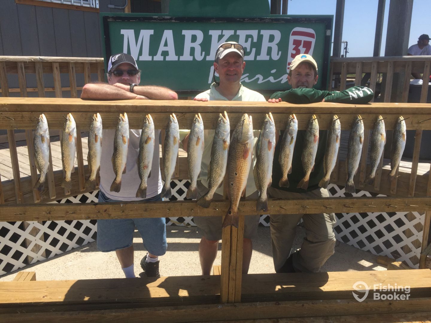Aransas Pass Report Photo 0