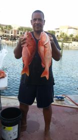 Yellow eye snapper