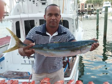 Mackerel