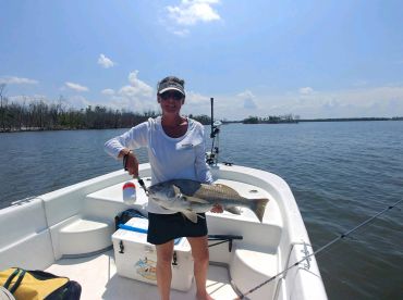 Naples Ten Thousand Islands Black Drum
