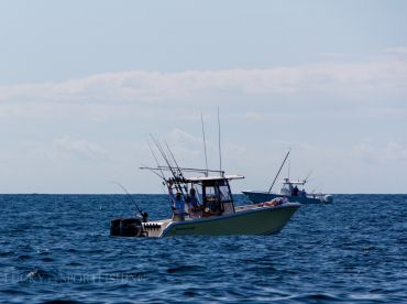 Holden Beach Report Photo 2
