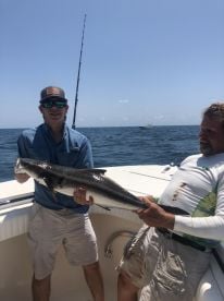 Nice cobia