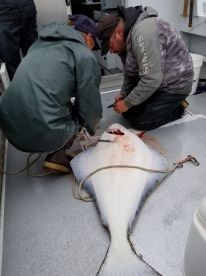 Port Isabel Report Photo 2