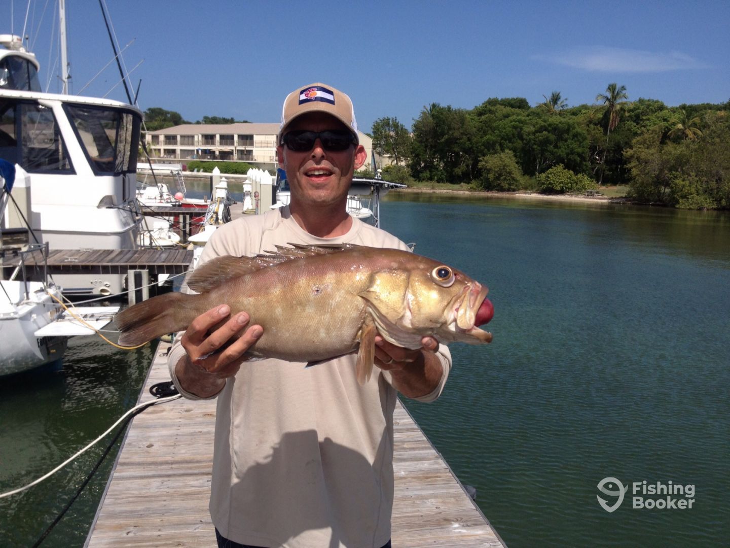 Yellowedge grouper- one of the many species targeted with the deep drop rig!