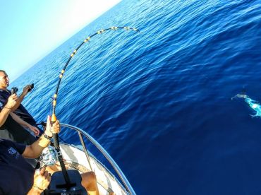 Vrsar Report Photo 2