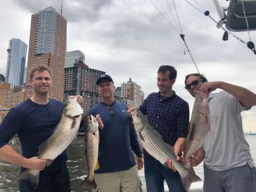 Hudson River Report Photo 2