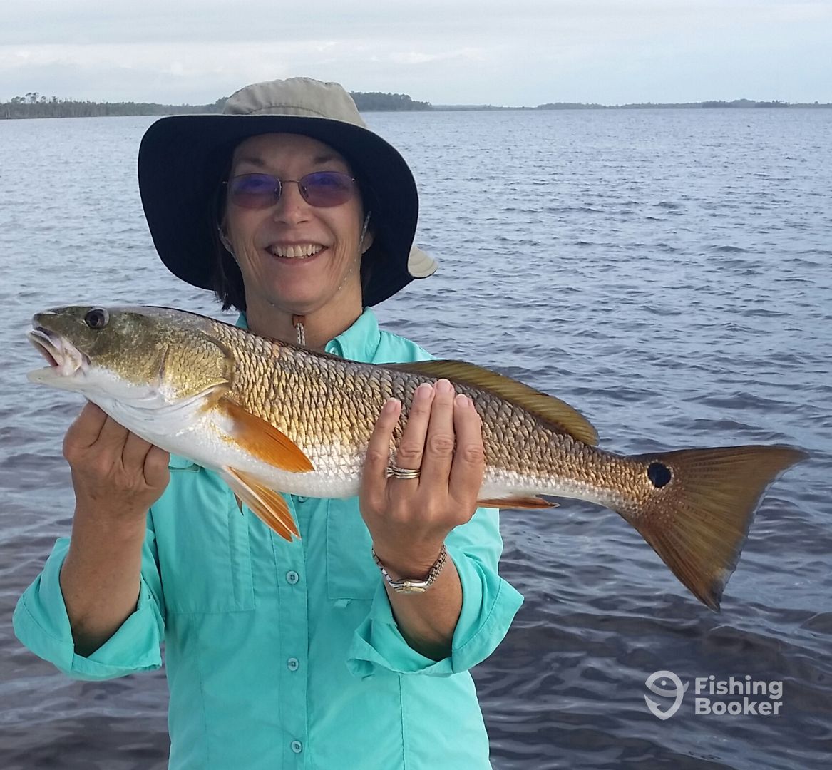 Port Orange Report Photo 0
