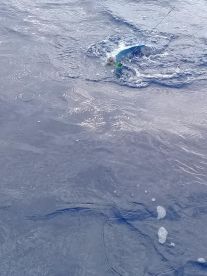 Cuvu Report Photo 2