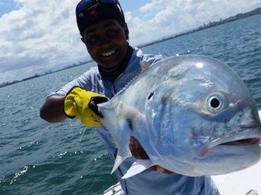 Beautiful shot of a jack crevalle fishing in Puerto Rico