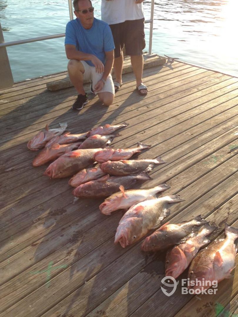 Naples Report Photo 0