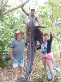 Cuvu Report Photo 1