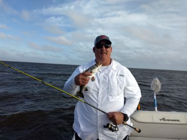 St. Bernard Report Photo 2