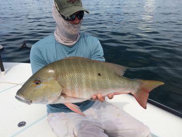 Key Biscayne Report Photo 2
