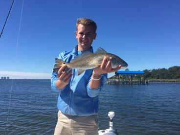 Navarre Report Photo 1