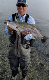 Texas City Report Photo 1