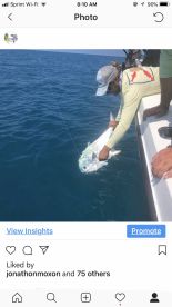 Big Pine Key Report Photo 1