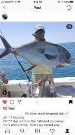 Big Pine Key Report Photo 2