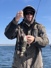 Orange Beach Report Photo 2