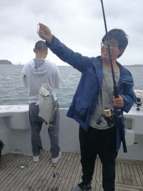Whangaparaoa Report Photo 3