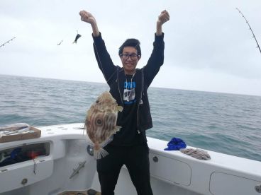 Whangaparaoa Report Photo 2