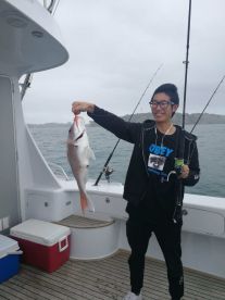 Whangaparaoa Report Photo 1