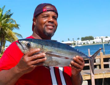 Fall blackfin tuna