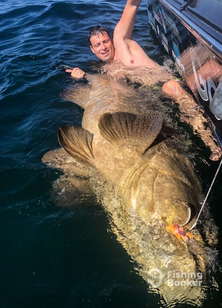 Sanibel Report Photo 0