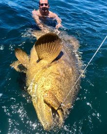 Sanibel Report Photo 1