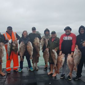 Paihia Report Photo 2