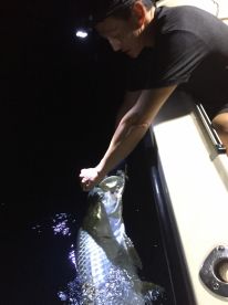 Miami Report Photo 1