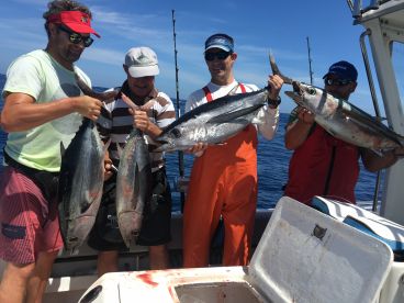 Longfin tuna