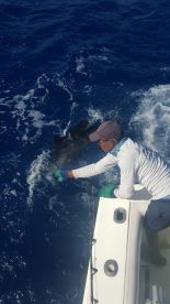 Punta Cana Report Photo 2