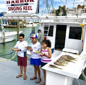 Islamorada Report Photo 1