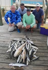 Chalmette Report Photo 2