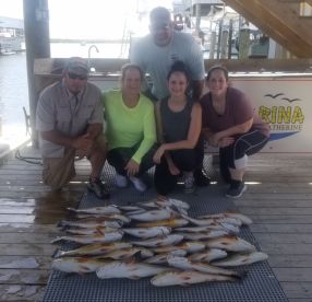 Chalmette Report Photo 3