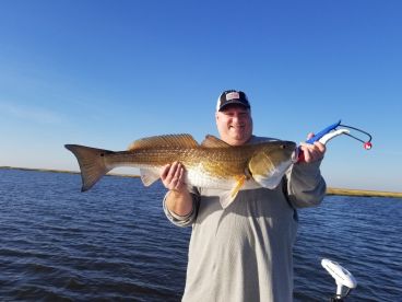 Chalmette Report Photo 4
