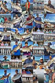 Aransas Pass Report Photo 1